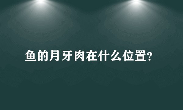 鱼的月牙肉在什么位置？