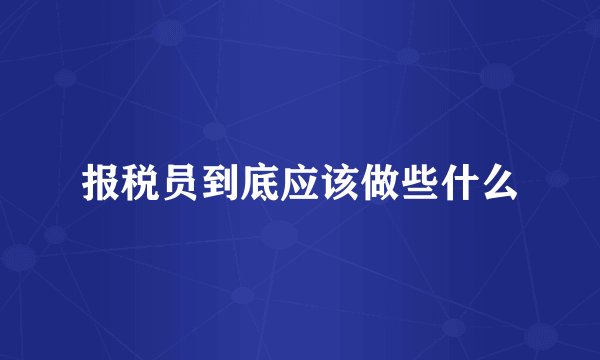 报税员到底应该做些什么