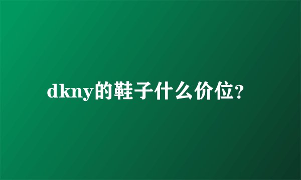 dkny的鞋子什么价位？