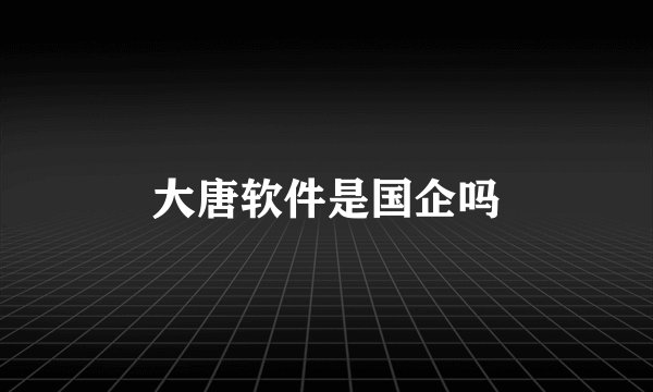 大唐软件是国企吗