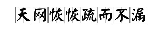 “天网恢恢疏而不漏”的下一句是什么？出自哪里？