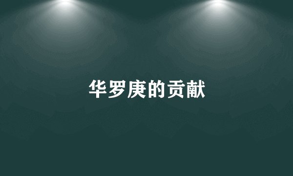 华罗庚的贡献