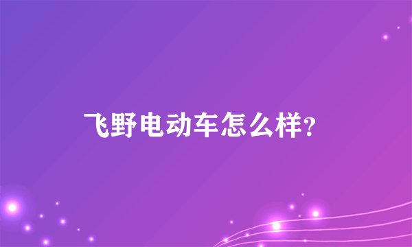 飞野电动车怎么样？