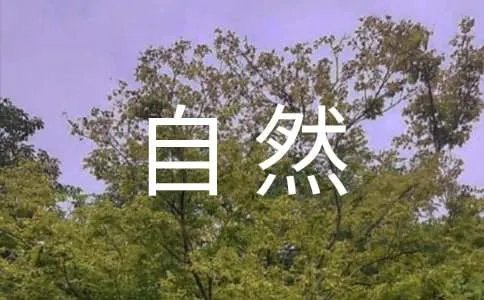 描写自然景物作文500字