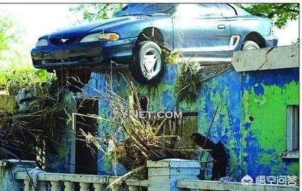 女司机开车“爬”护桥栏杆,下车后先玩自拍,你怎么看?