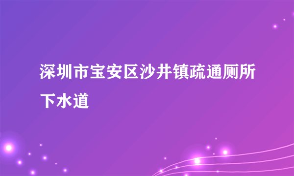 深圳市宝安区沙井镇疏通厕所下水道