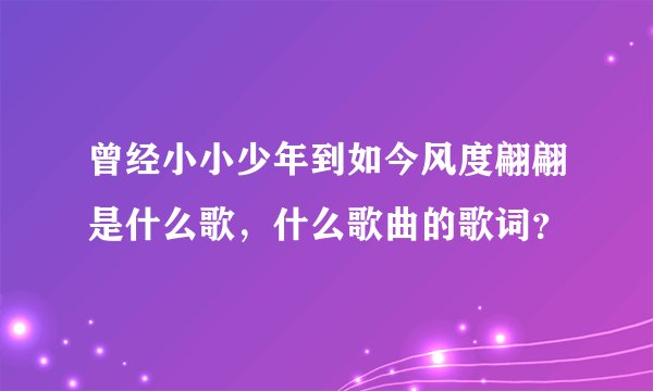 曾经小小少年到如今风度翩翩是什么歌，什么歌曲的歌词？