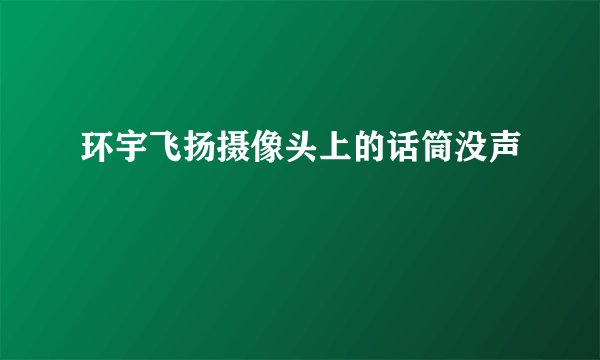 环宇飞扬摄像头上的话筒没声