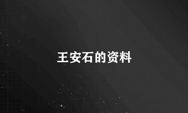 王安石的资料