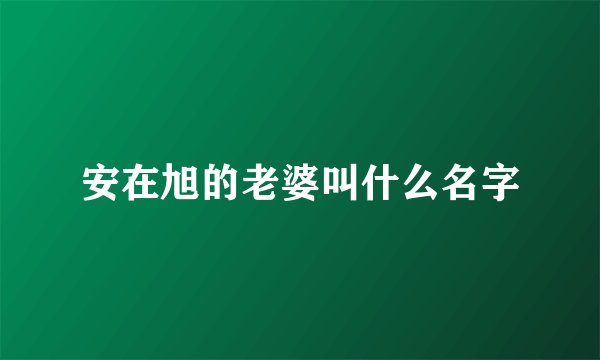 安在旭的老婆叫什么名字