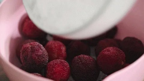 福建哪里的杨梅最好吃?
