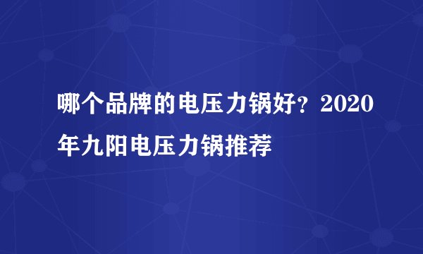 哪个品牌的电压力锅好?2020年九阳电压力锅推荐