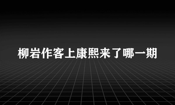 柳岩作客上康熙来了哪一期