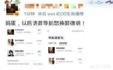 志玲结婚,一位大叔将导航语音换成郭德纲,你怎么看?