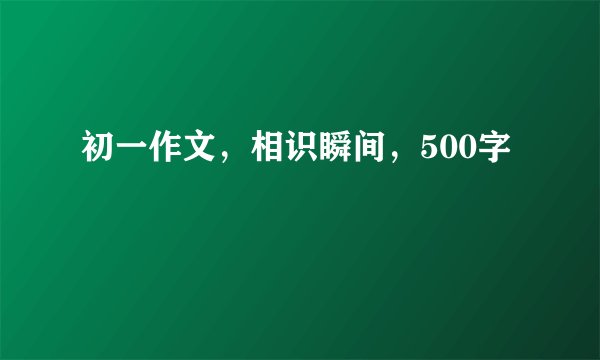 初一作文，相识瞬间，500字