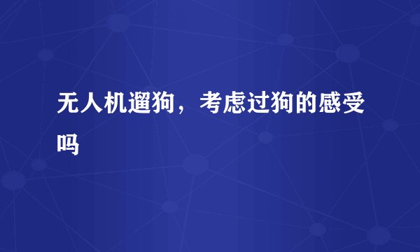 无人机遛狗，考虑过狗的感受吗