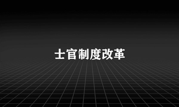 士官制度改革