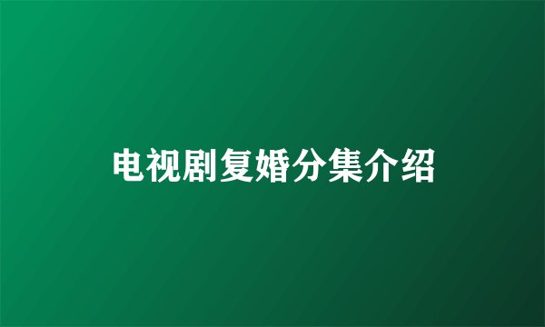 电视剧复婚分集介绍