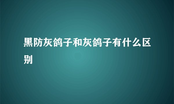 黑防灰鸽子和灰鸽子有什么区别