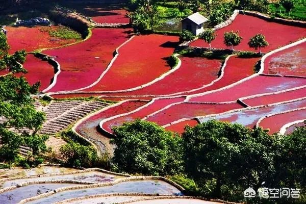 房车自驾游会不会取代旅行社?
