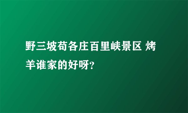 野三坡苟各庄百里峡景区 烤羊谁家的好呀？