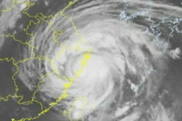 利奇马台风造成这么多的人员伤亡。为什么不能提前撤离呢?