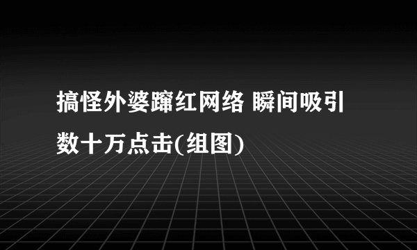 搞怪外婆蹿红网络 瞬间吸引数十万点击(组图)