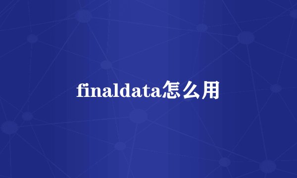 finaldata怎么用