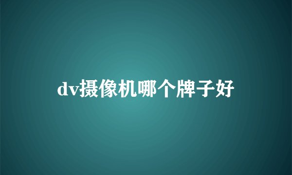 dv摄像机哪个牌子好