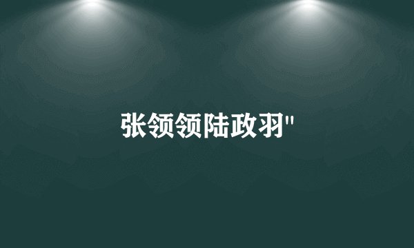 张领领陆政羽
