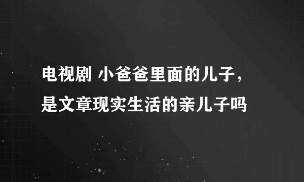 电视剧 小爸爸里面的儿子,是文章现实生活的亲儿子吗