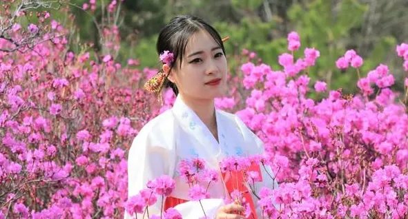 《金达莱花》歌词中文谐音是什么?