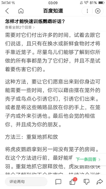 如何训练出一只听话的宠物鸽子?