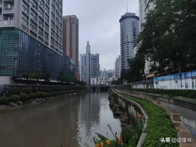 深圳立法禁食猫狗你支持吗?