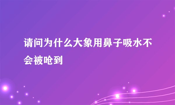 请问为什么大象用鼻子吸水不会被呛到