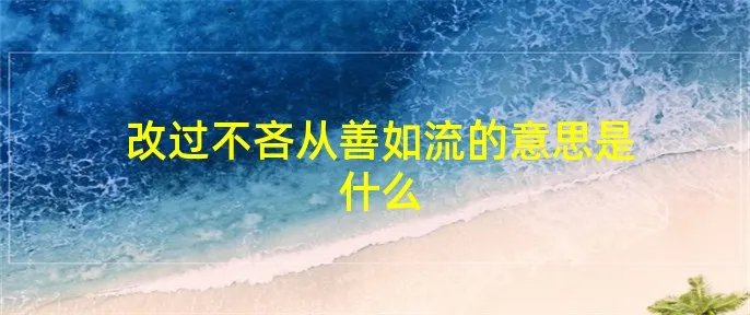 改过不吝从善如流的意思是什么