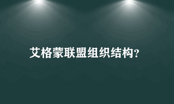 艾格蒙联盟组织结构？