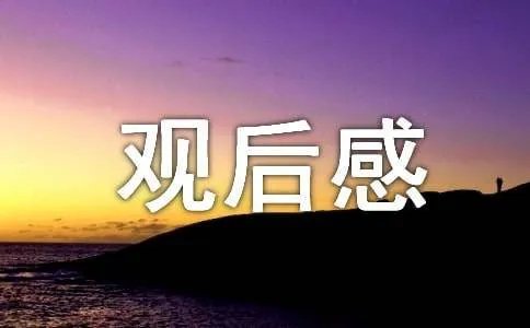 金正昆讲礼仪观后感