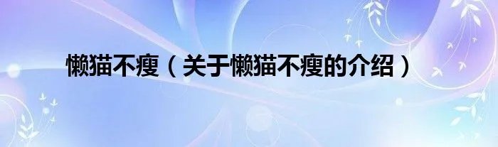 懒猫不瘦（关于懒猫不瘦的介绍）