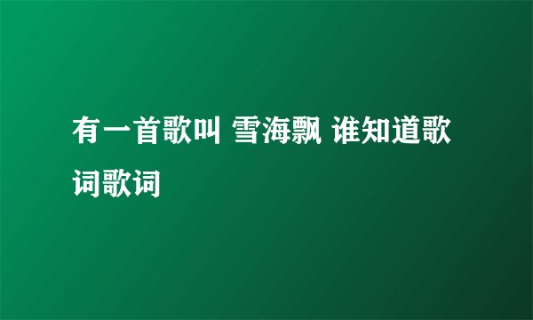 有一首歌叫 雪海飘 谁知道歌词歌词
