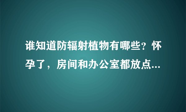 谁知道防辐射植物有哪些？怀孕了，房间和办公室都放点防辐射植物有作