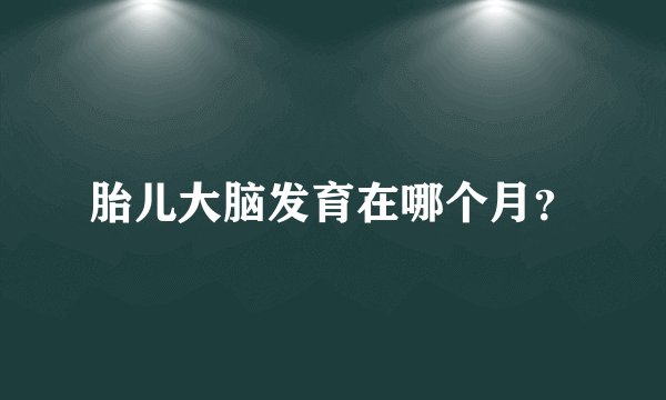胎儿大脑发育在哪个月？