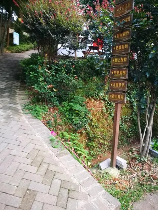 4亩地小型农庄如何规划经营?