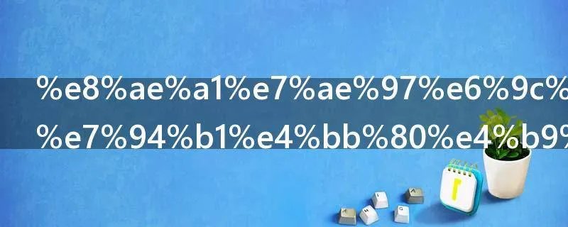 计算机软件由什么组成