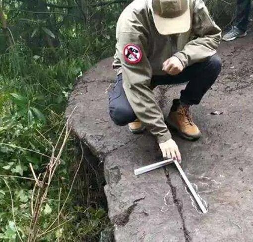 四川5岁男童发现了恐龙足迹,他是咋断定这是恐龙足迹的?