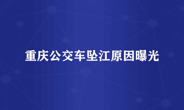 重庆公交车坠江原因曝光