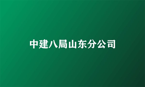 中建八局山东分公司