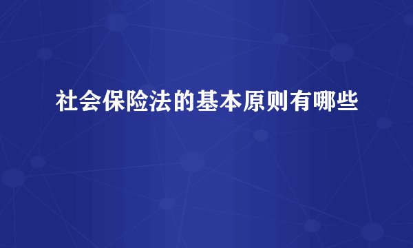 社会保险法的基本原则有哪些