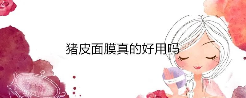 猪皮面膜真的好用吗