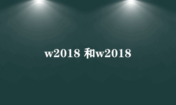 w2018 和w2018